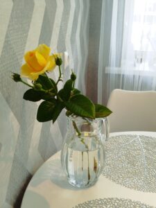 Красногвардейская, 12